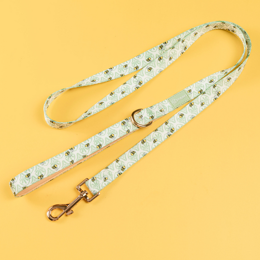 Little Honey Leash