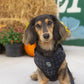 Midnight Hour Adjustable Harness