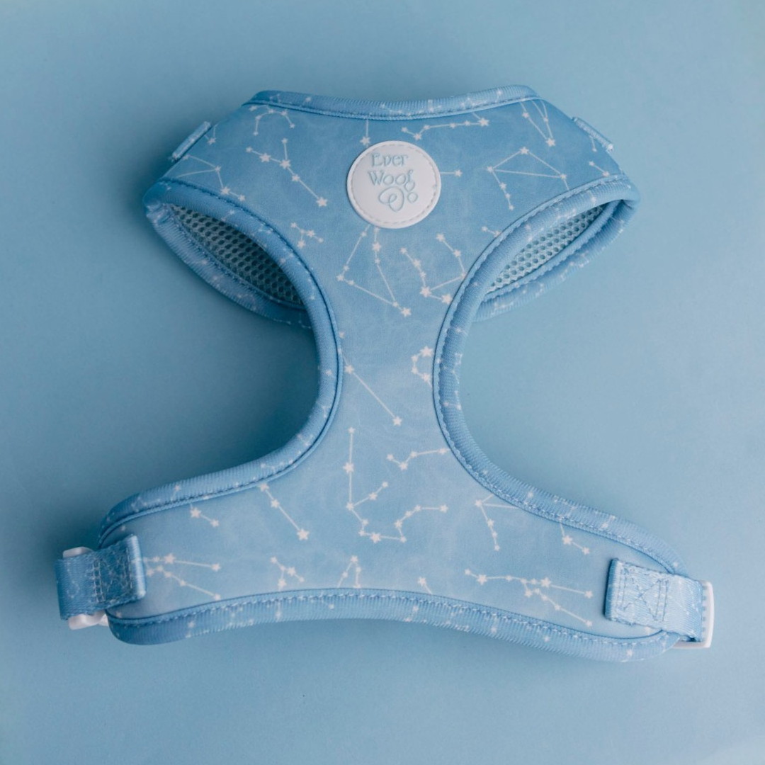 Star Gaze Adjustable Harness