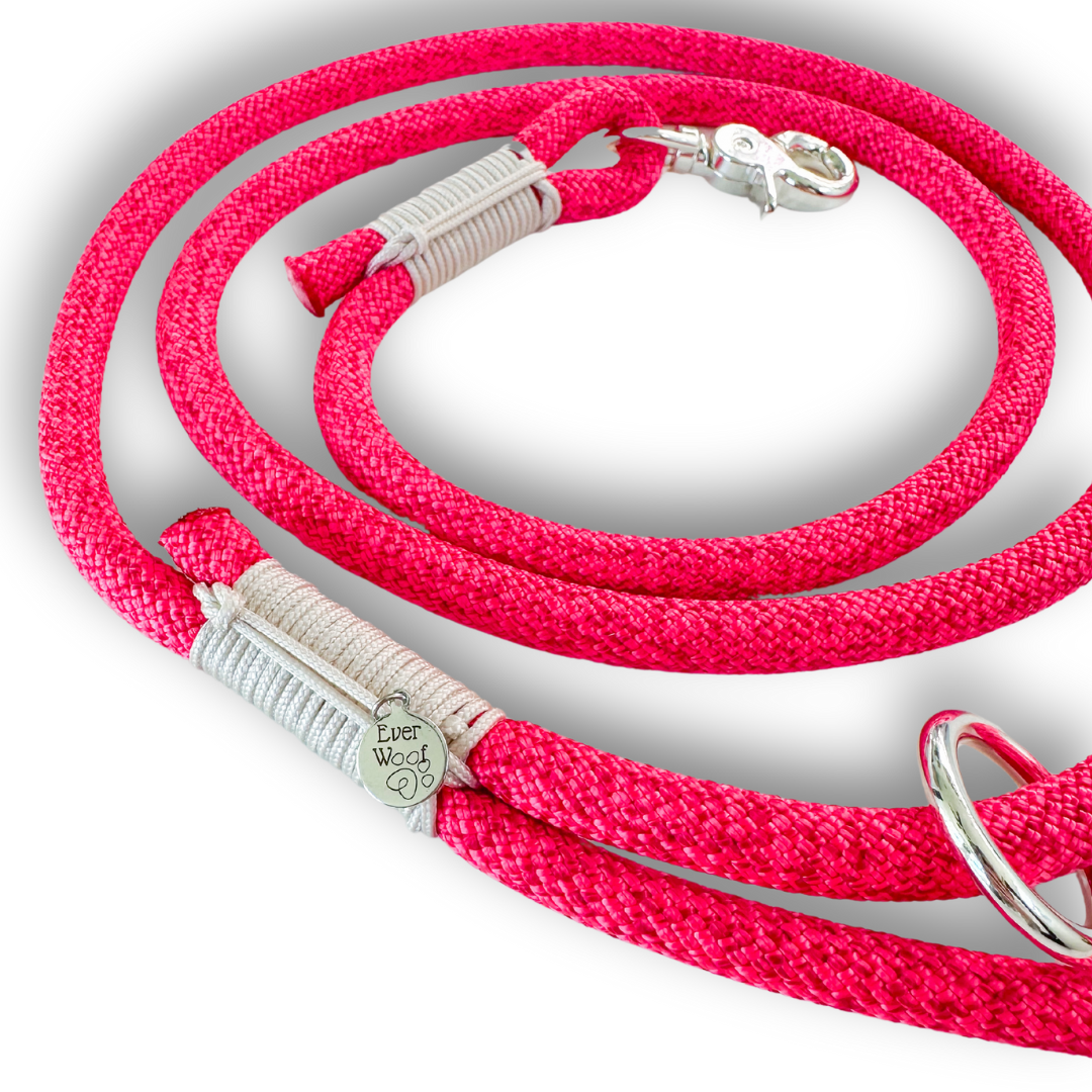 'Strawberry Smoothie' Rope Leash