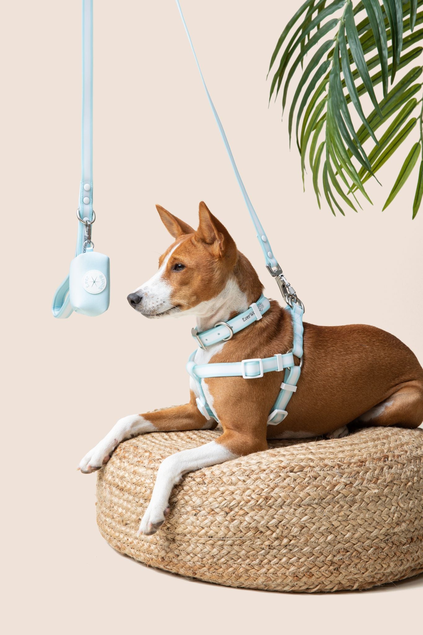 Waterproof dog outlet harness