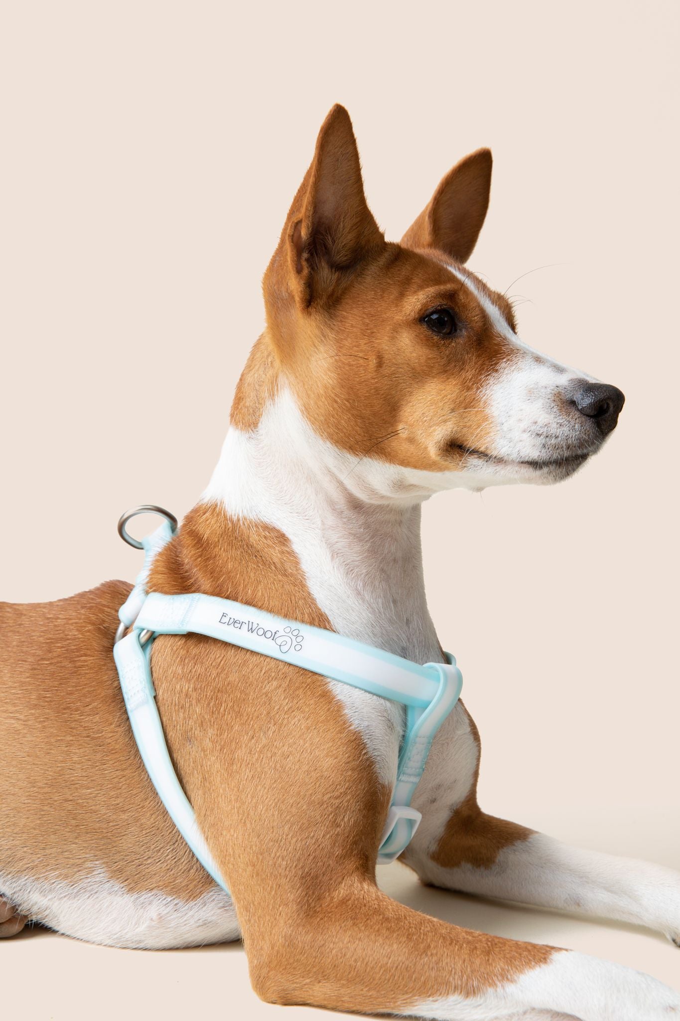 Cloud Nine Waterproof Step in Harness