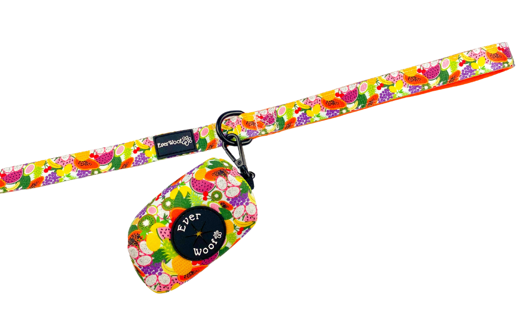 Tutti Frutti Leash