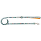 Snowy Slopes Leash