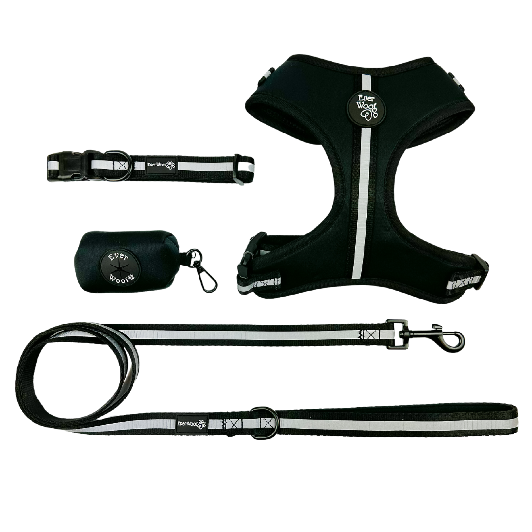 Shine Bright - Obsidian Adjustable Harness